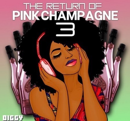 Big Citi Loops The Return Of Pink Champagne 3 WAV